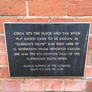 A plaque comemorating the birthplace of the kelpie